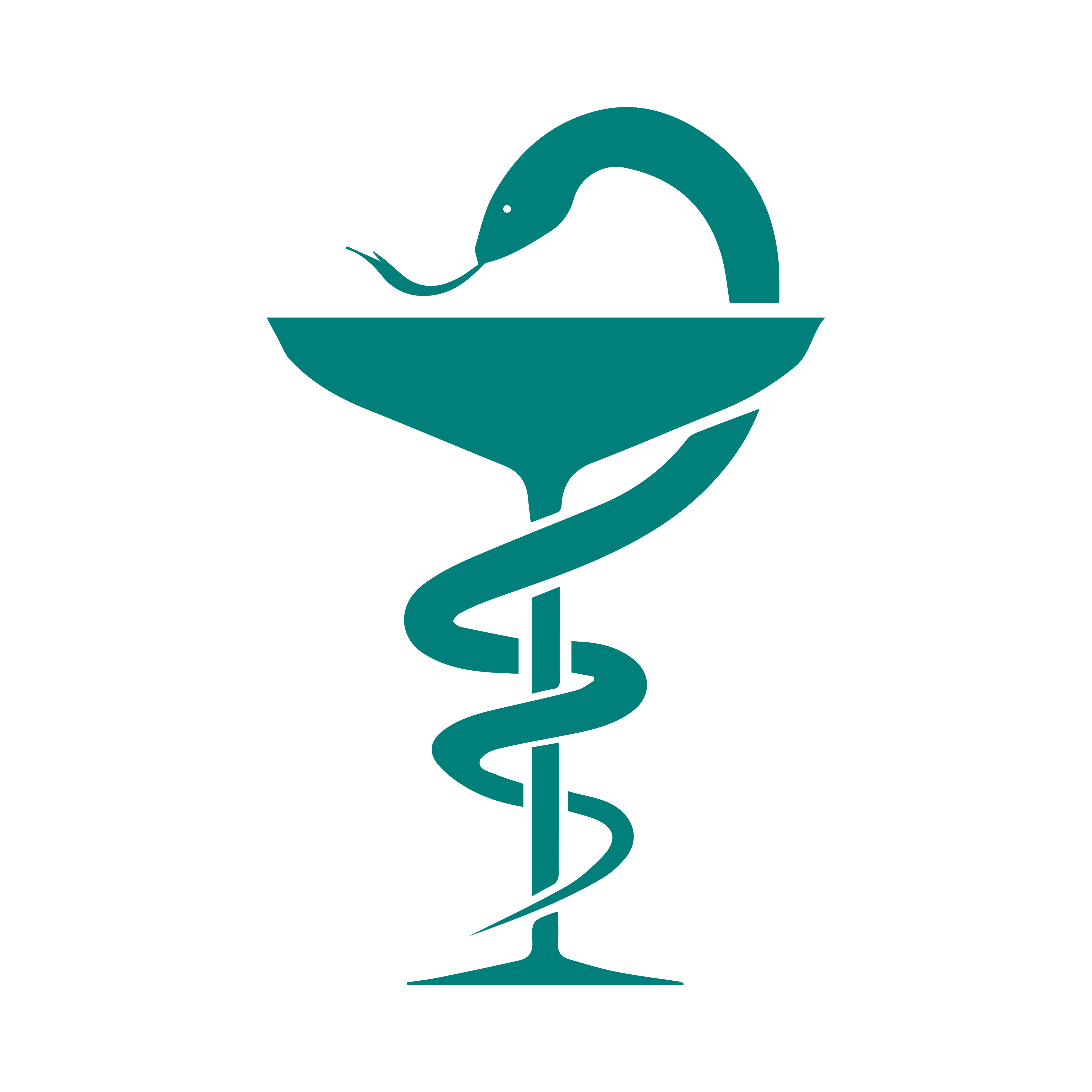 Logo de la carrera